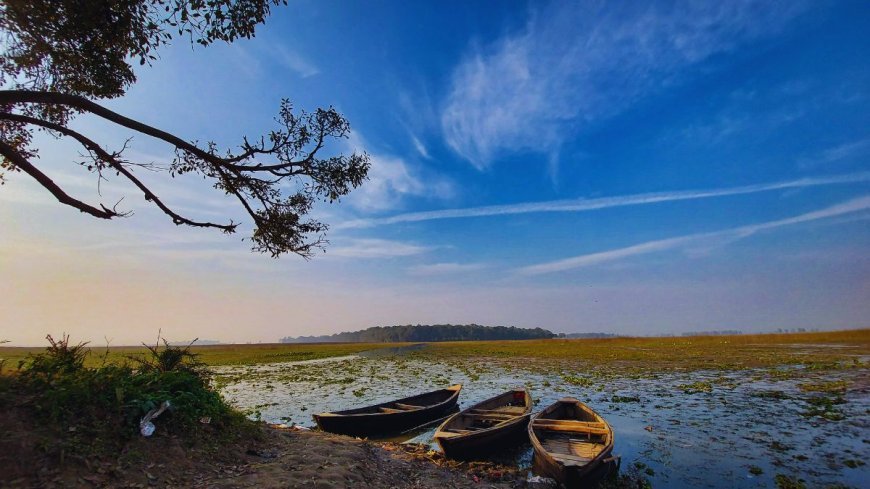 Kanwar Lake Bird Sanctuary – Nature’s Retreat in Bihar