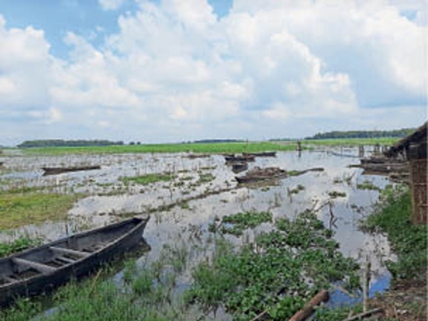 Kabar Jheel – A Hidden Wetland Gem