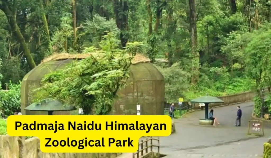 Padmaja Naidu Himalayan Zoological Park